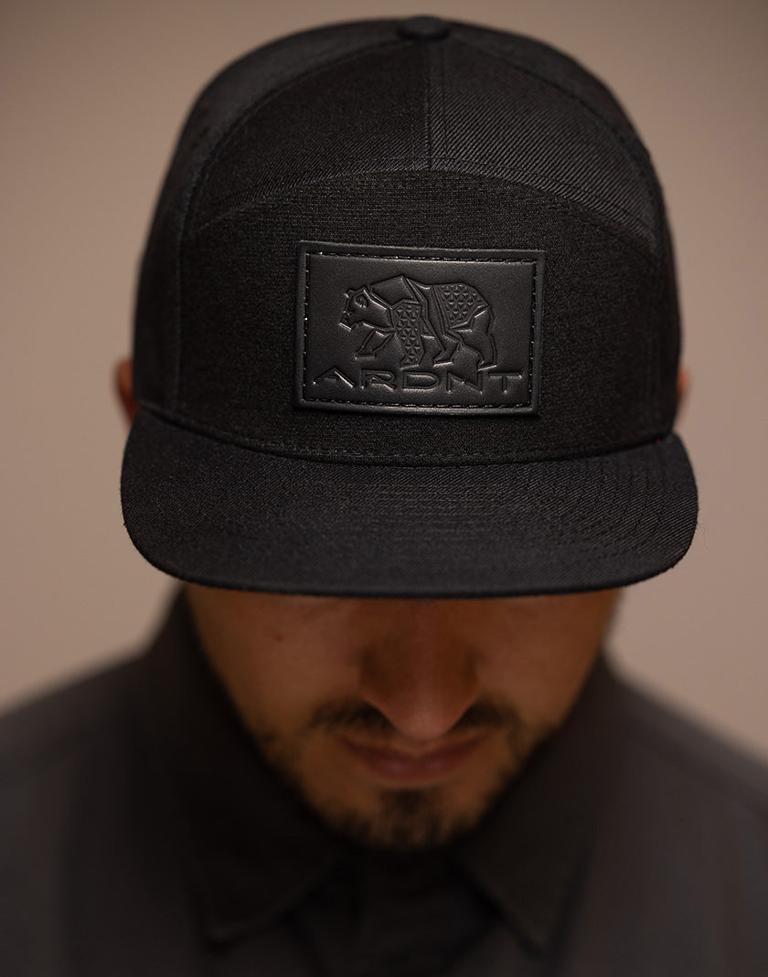 "The Beginning" Hat